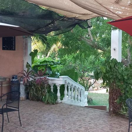 Villa Lirios Valladolid  Eksteriør bilde